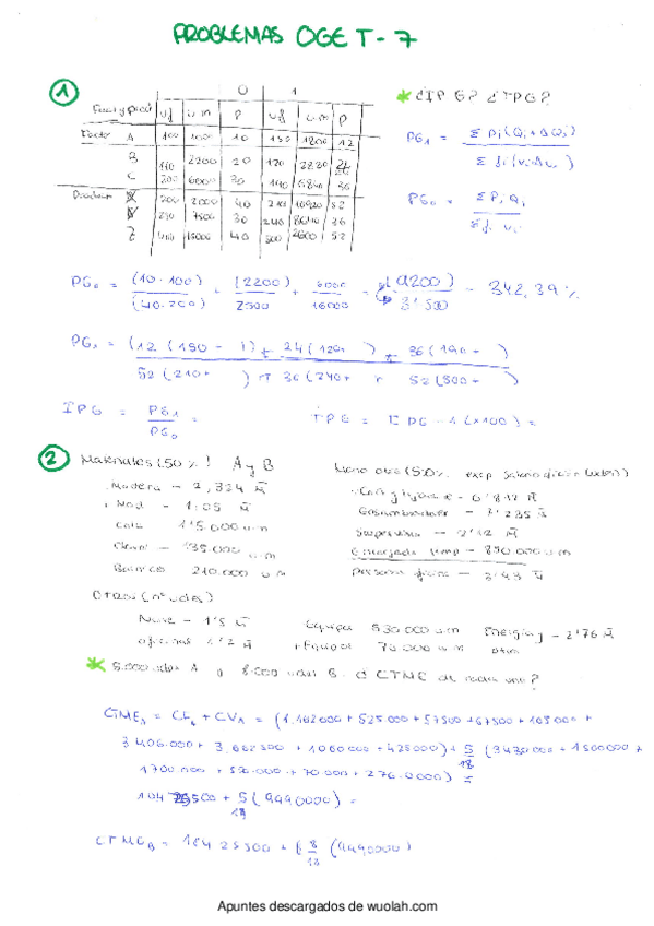 Miniatura del documento Problemas OGE Tema 7.PDF