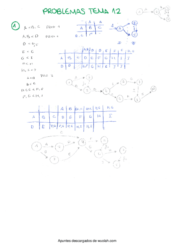 Miniatura del documento Problemas OGE Tema 12.PDF
