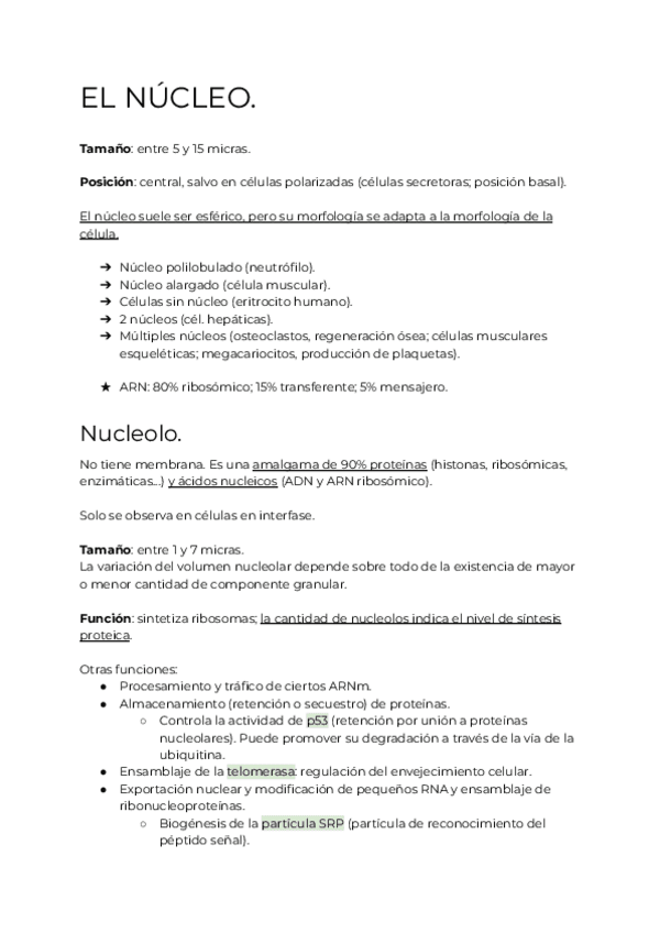 Miniatura del documento T4-EL-NUCLEO.pdf