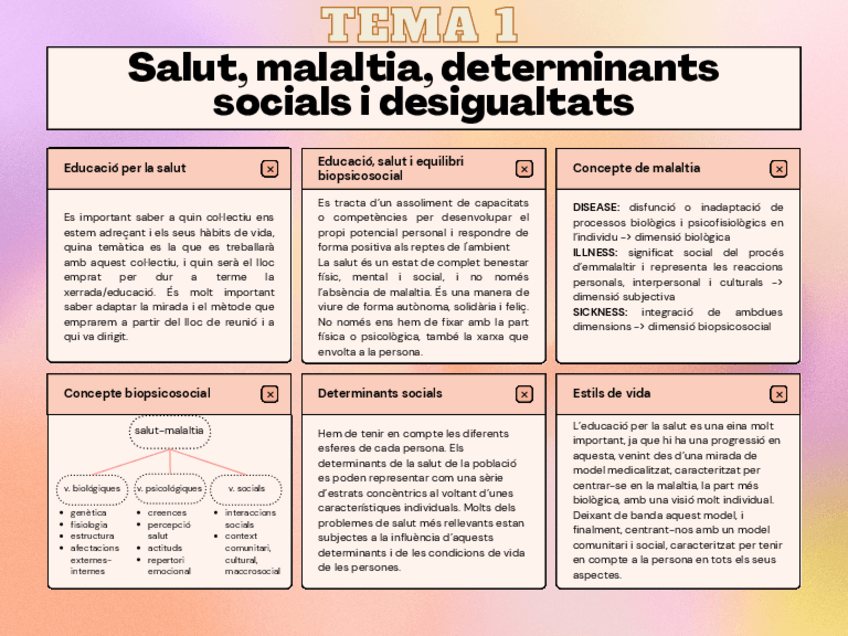 Miniatura del documento Educacio-per-la-salutResum.pdf