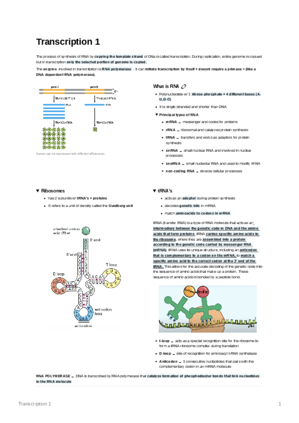 Miniatura del documento Transcription1.pdf