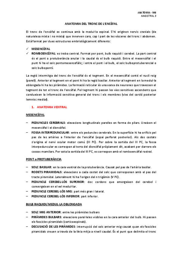 Miniatura del documento MAGISTRAL-3-ANATOMIA-DEL-TRONC-DE-LENCEFAL.pdf