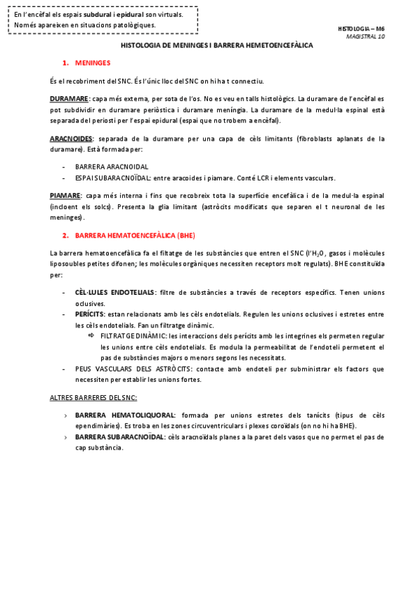 Miniatura del documento MAGISTRAL-9-HISTOLOGIA-DE-MENINGES-I-BARRERA-HEMETOENCEFALICA.pdf