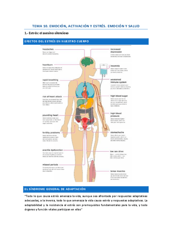 Miniatura del documento TEMA-10.-emocion-activacion-y-estres.pdf