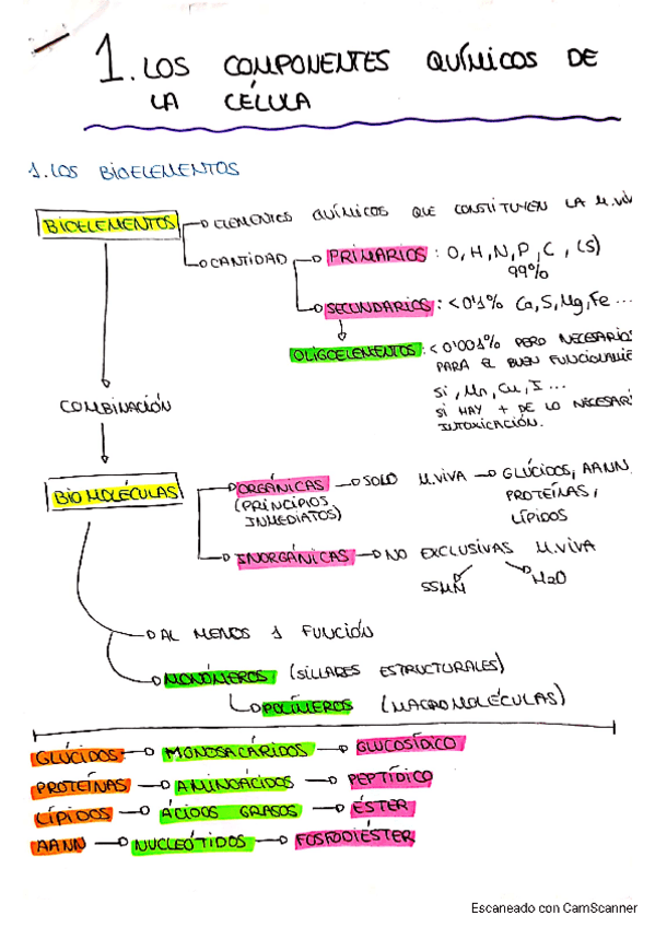 Miniatura del documento COMPONENTES-CELULARES.pdf