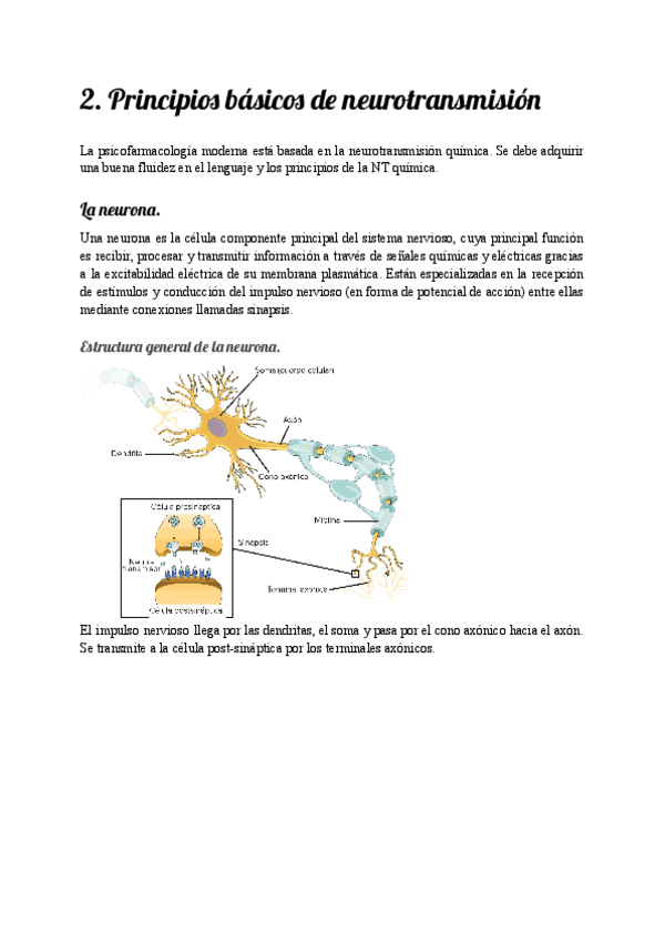 Miniatura del documento Tema-2-2023.pdf