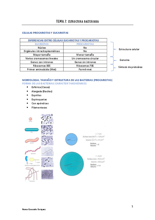 Miniatura del documento tema-2-micro.pdf