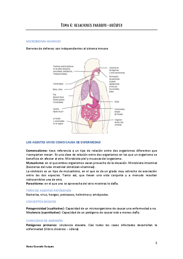 Miniatura del documento Tema-6-micro.pdf