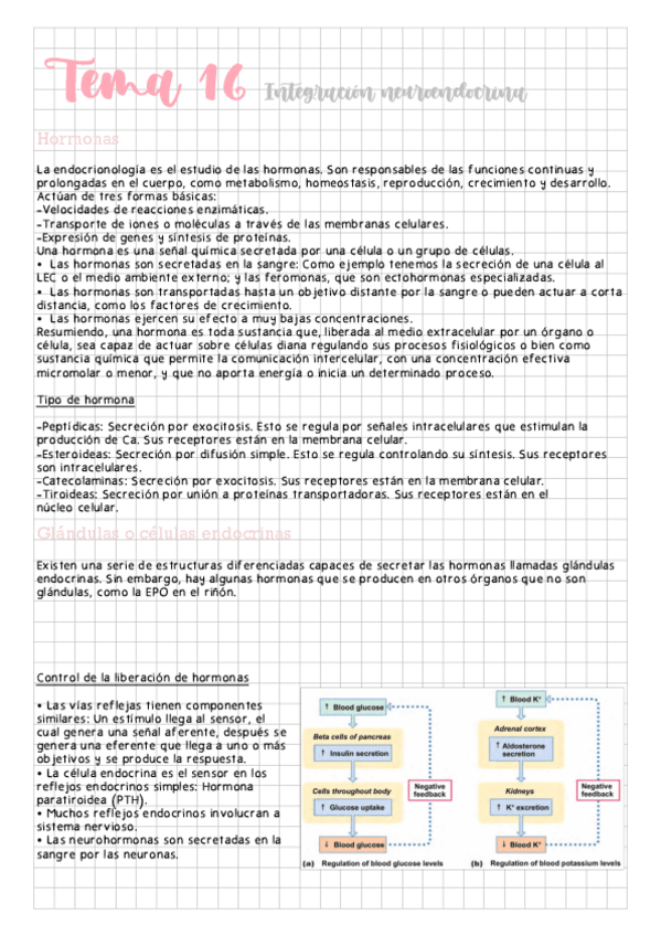 Miniatura del documento Tema-16-Integracion-neuroendocrina.pdf