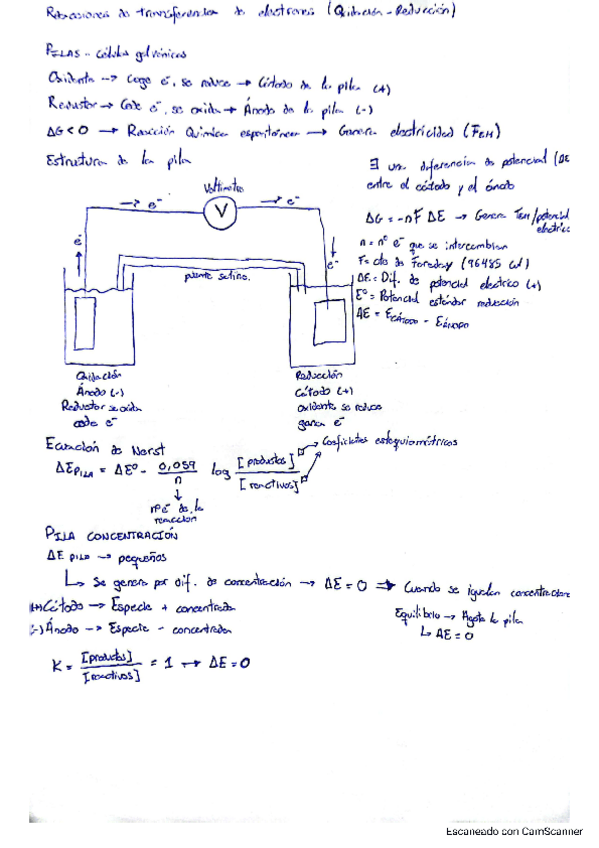 Miniatura del documento Reacciones-de-transferencia-de-electrones.pdf