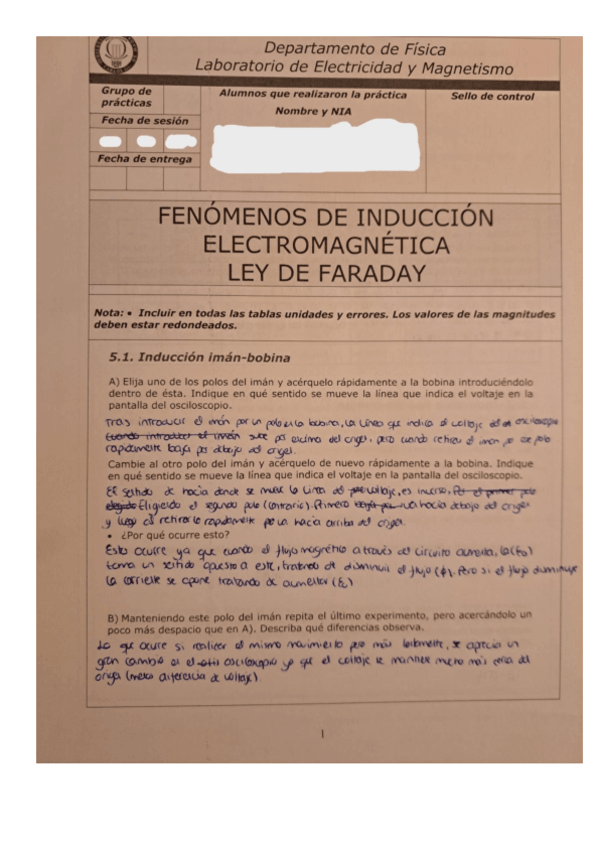 Miniatura del documento LAB-FARADAY.pdf