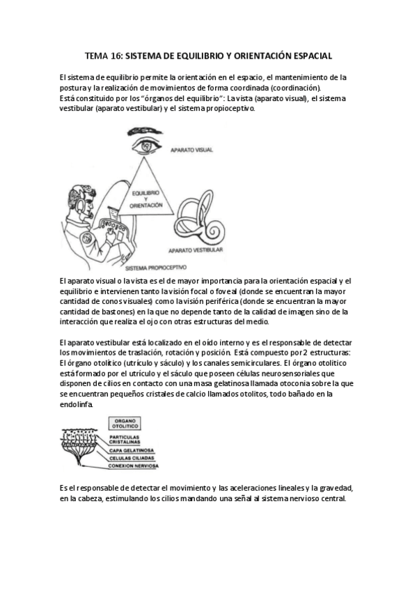 Miniatura del documento Temas-16 17 18.pdf