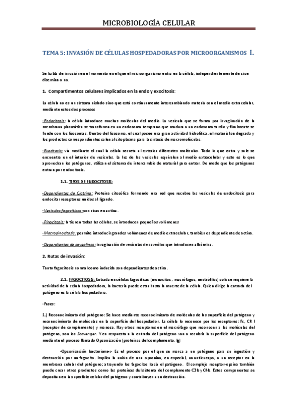 Miniatura del documento TEMA 5.pdf