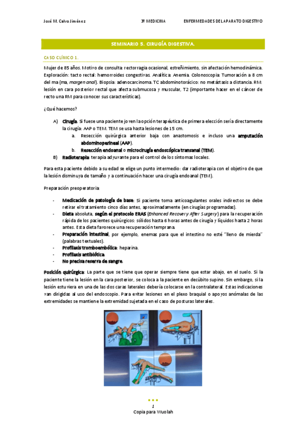 Miniatura del documento SEMINARIO 5. CIRUGÍA.pdf