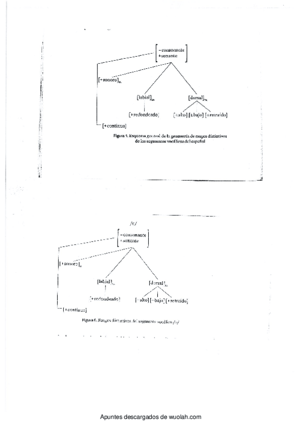 Miniatura del documento wuolah-free-Geometria de rasgos.pdf