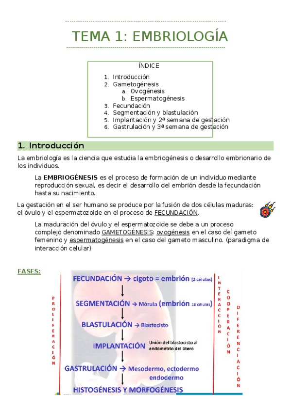 Miniatura del documento EMBRIOLOGIA.docx