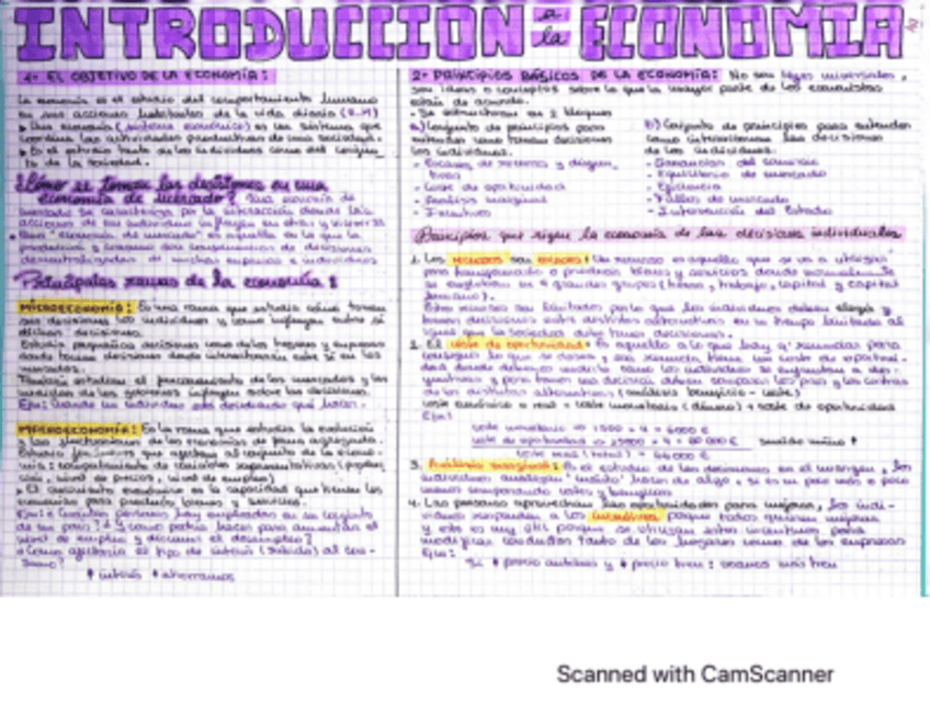 Miniatura del documento TEMA 1-INTRODUCCION-A-LA-ECONOMIA.pdf