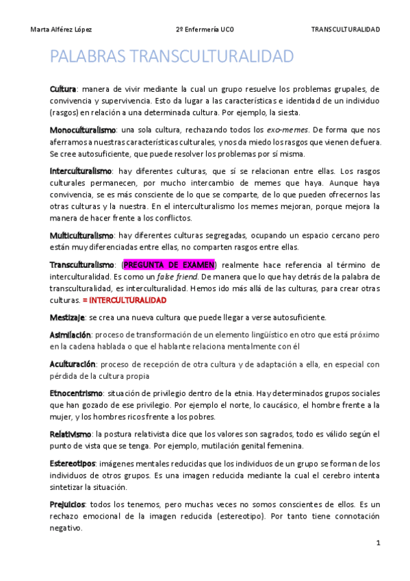 Miniatura del documento DEFINICIONES-TRANSCULTURALIDAD.pdf
