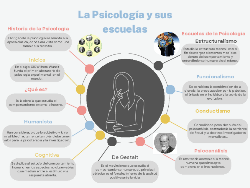 Miniatura del documento Psicologia-y-sus-escuelas.pdf