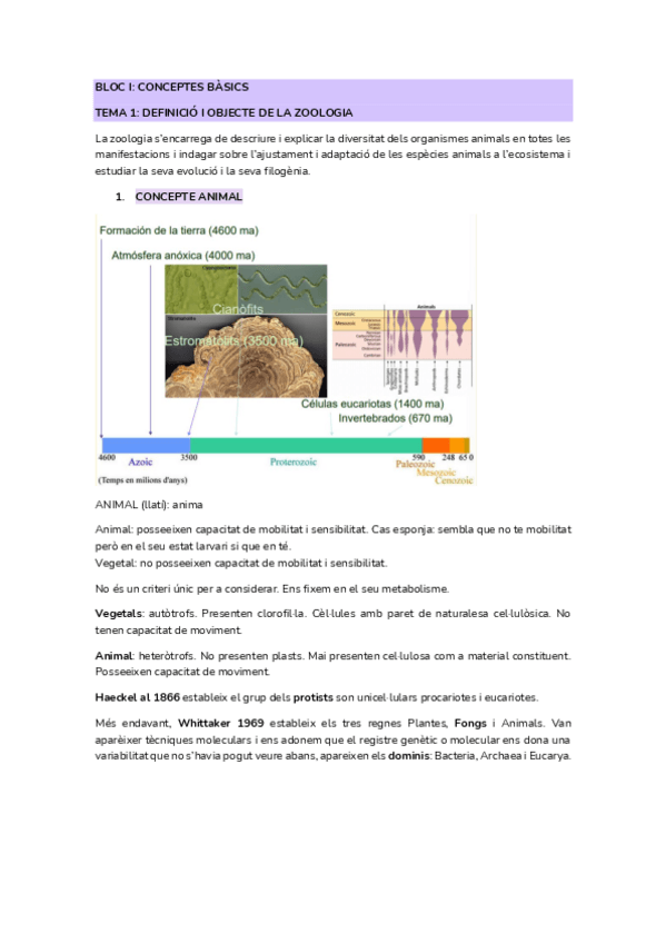 Miniatura del documento BLOC-I-ZOO-temes-123456.pdf