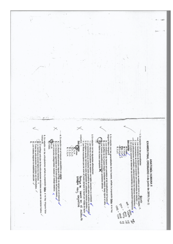 Miniatura del documento EXAMENES-ANATOMIA.pdf