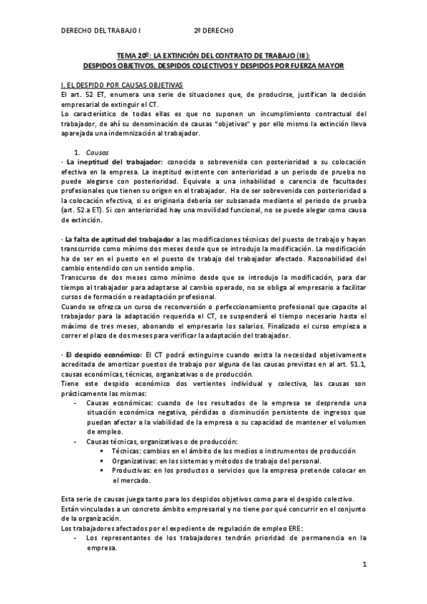 Miniatura del documento Tema-20-laboral.pdf
