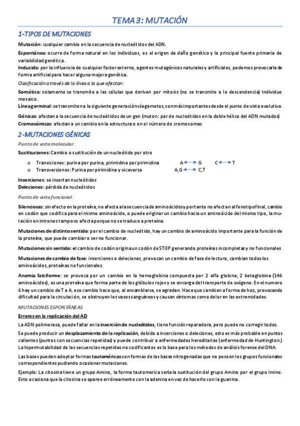 Miniatura del documento Tema-3.pdf