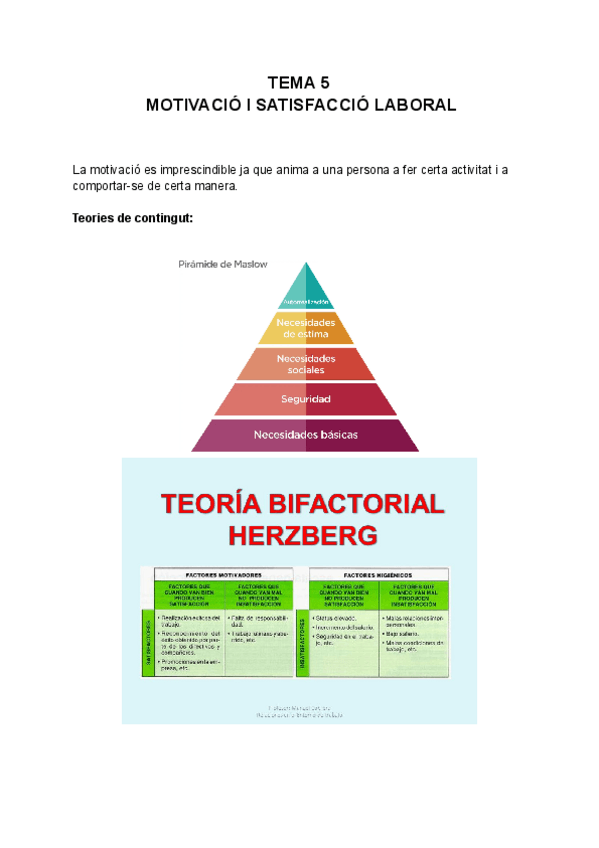 Miniatura del documento TEMA-5-MOTIVACIO-I-SATISFACCIO-LABORAL-Documents-de-Google.pdf