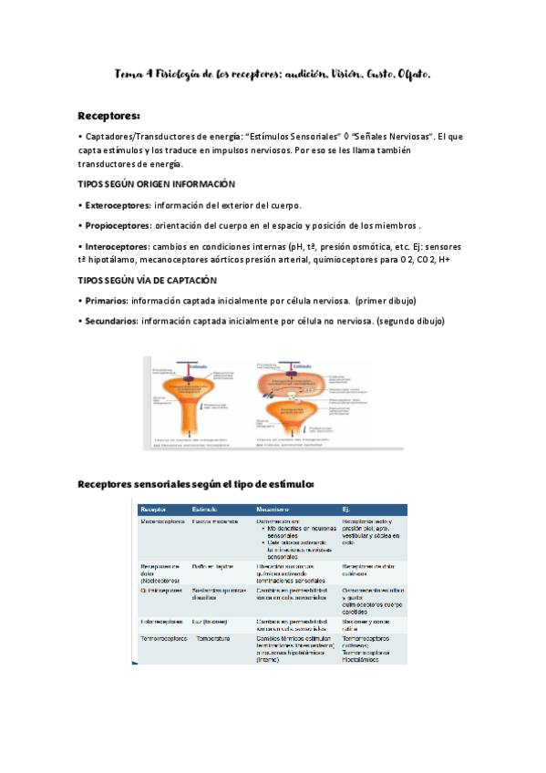 Miniatura del documento Tema-4-los-receptores-Fisio-II.pdf