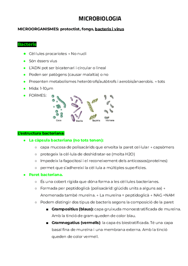 Miniatura del documento MICROBIOLOGIA.pdf