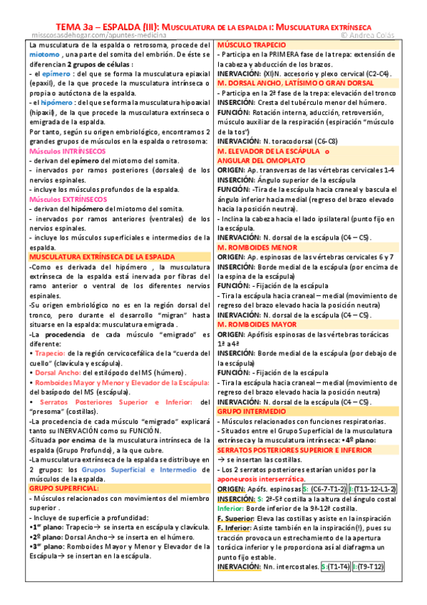 Miniatura del documento AnatomiaGeneralTema3aEspaldaMusculatura-extrinseca.pdf