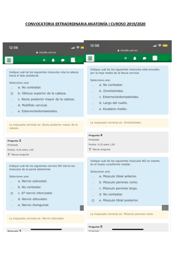 Miniatura del documento Convocatoria-extraodinaria-Anatomia-I-2020.pdf