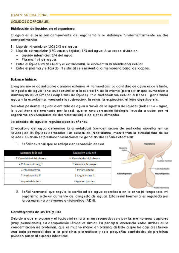 Miniatura del documento TEMA-9-sistema-renal.pdf