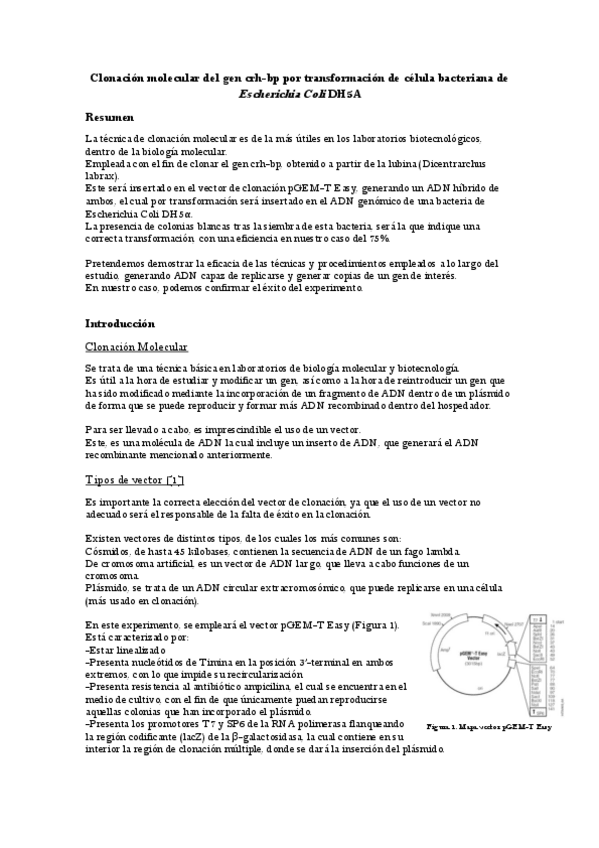 Miniatura del documento Informe-LIBMIG.pdf