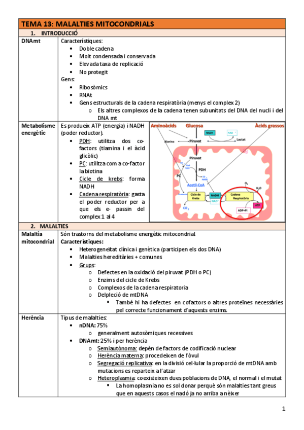 Miniatura del documento BAC-Tema13malalt.mitocondrials.pdf