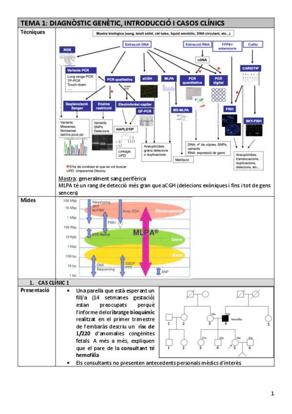 Miniatura del documento TDI-Tema1casosclinics.pdf