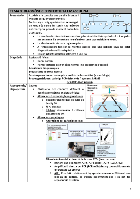 Miniatura del documento TDI-Tema3infertilitat.pdf