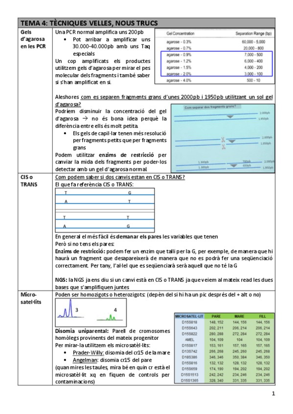 Miniatura del documento TDI-Tema4tecniques.pdf