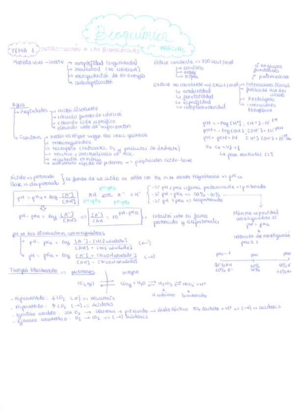 Miniatura del documento BIOQUIMICA-1o-CUATRIMETRE.-RESUMEN.pdf