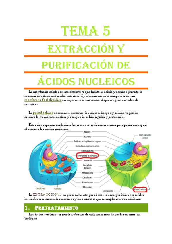 Miniatura del documento Tema-5-Extraccion-purificacion-y-tratamiento-de-muestras-de-ADN.pdf