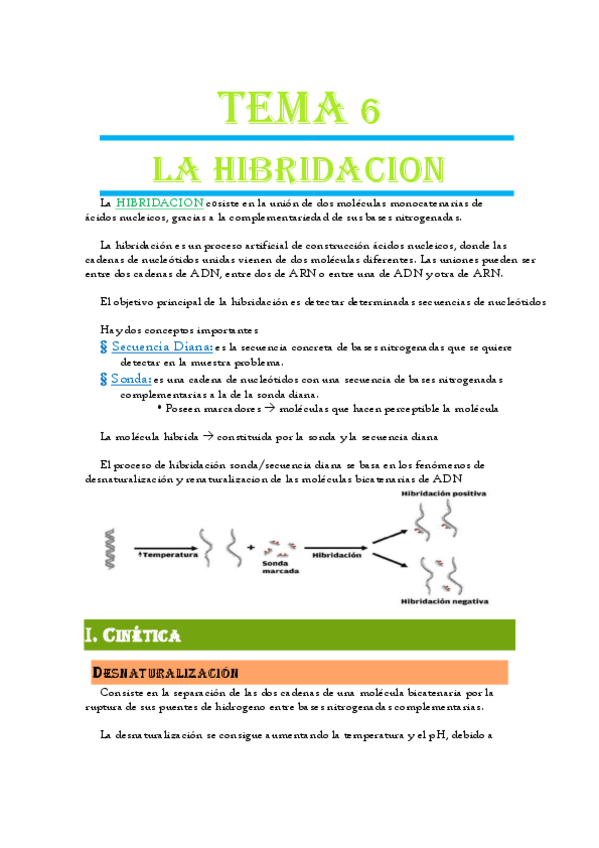 Miniatura del documento Tema-6-Hibridacion.pdf