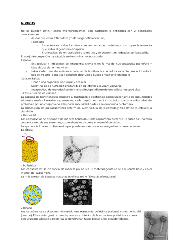 Miniatura del documento 6.-MICRO.pdf