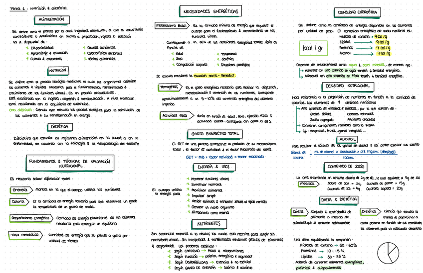 Miniatura del documento Esquemas-nutricion.pdf