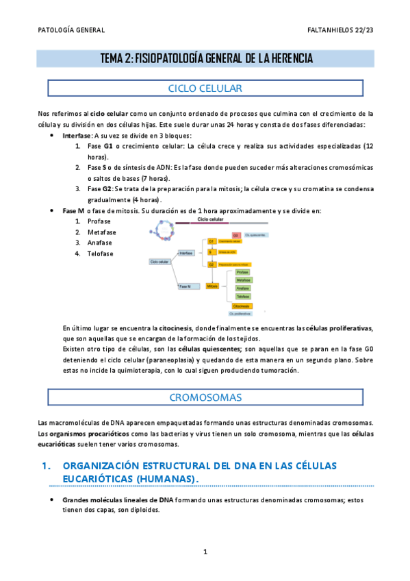 Miniatura del documento 2.-Fisiopatologia-general-de-la-herencia.pdf