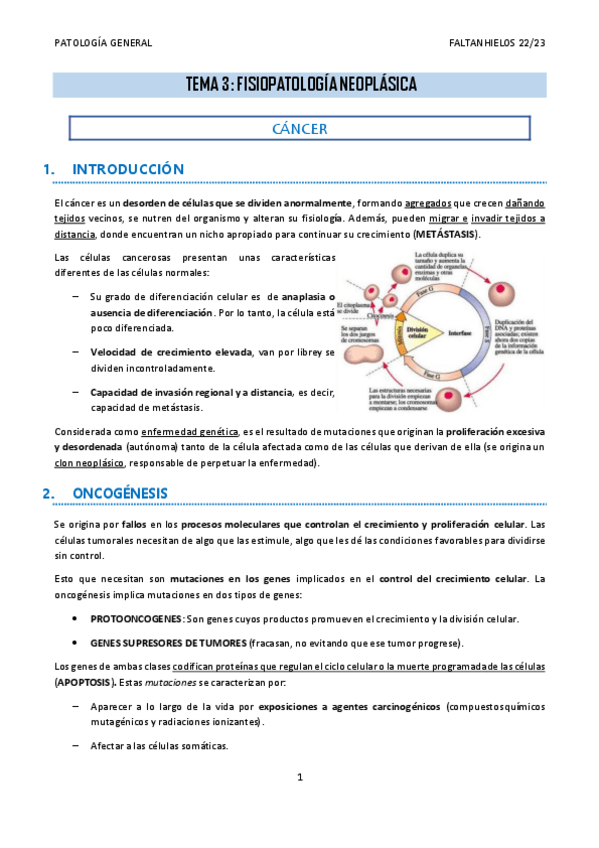 Miniatura del documento 3.-Fisiopatologia-neoplasica.pdf