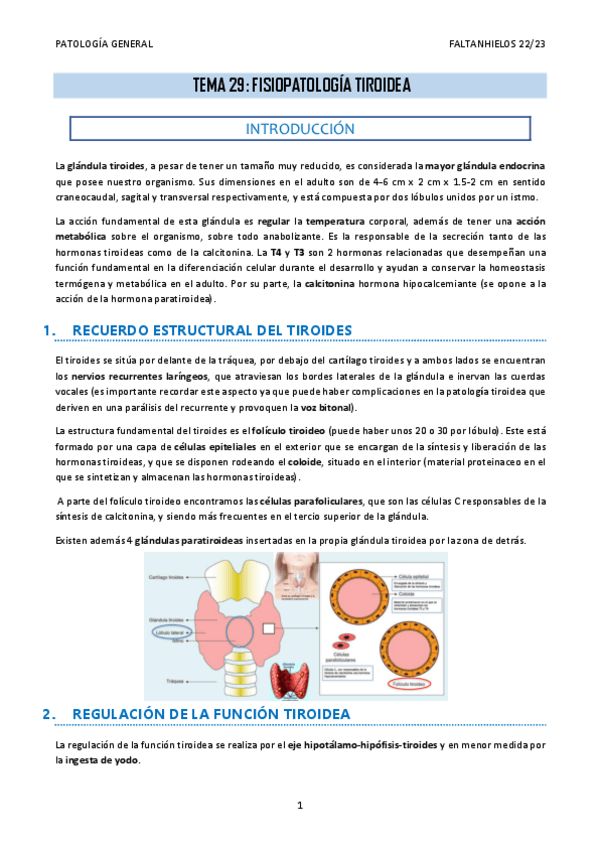 Miniatura del documento 29.-Fisiopatologia-tiroidea.pdf