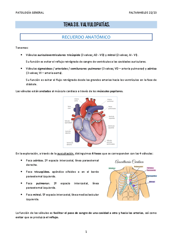 Miniatura del documento 38.-Valvulopatias.pdf