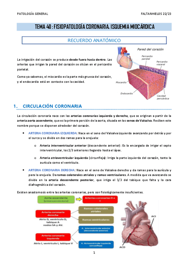Miniatura del documento 40.-Fisiopatologia-coronaria.-Isquemia-miocardica.pdf