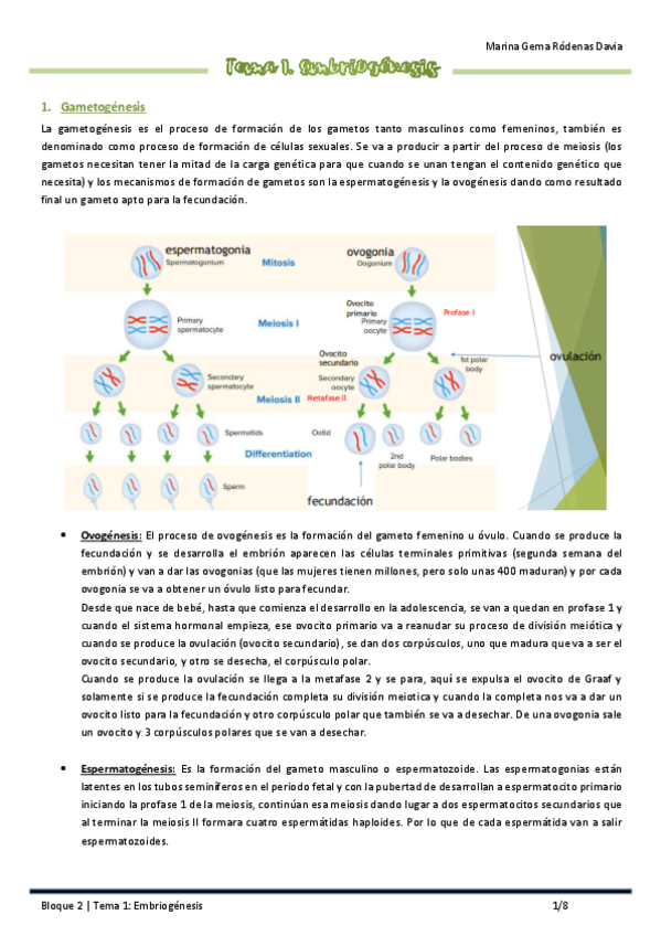 Miniatura del documento Tema-1-Embriogenesis 2023.pdf