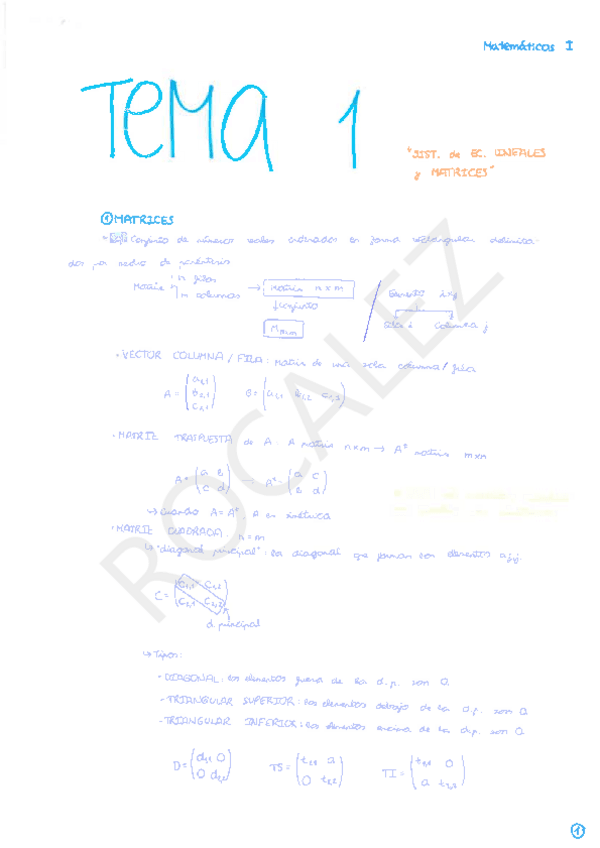 Miniatura del documento Apuntes tema 1 - MAT I.pdf